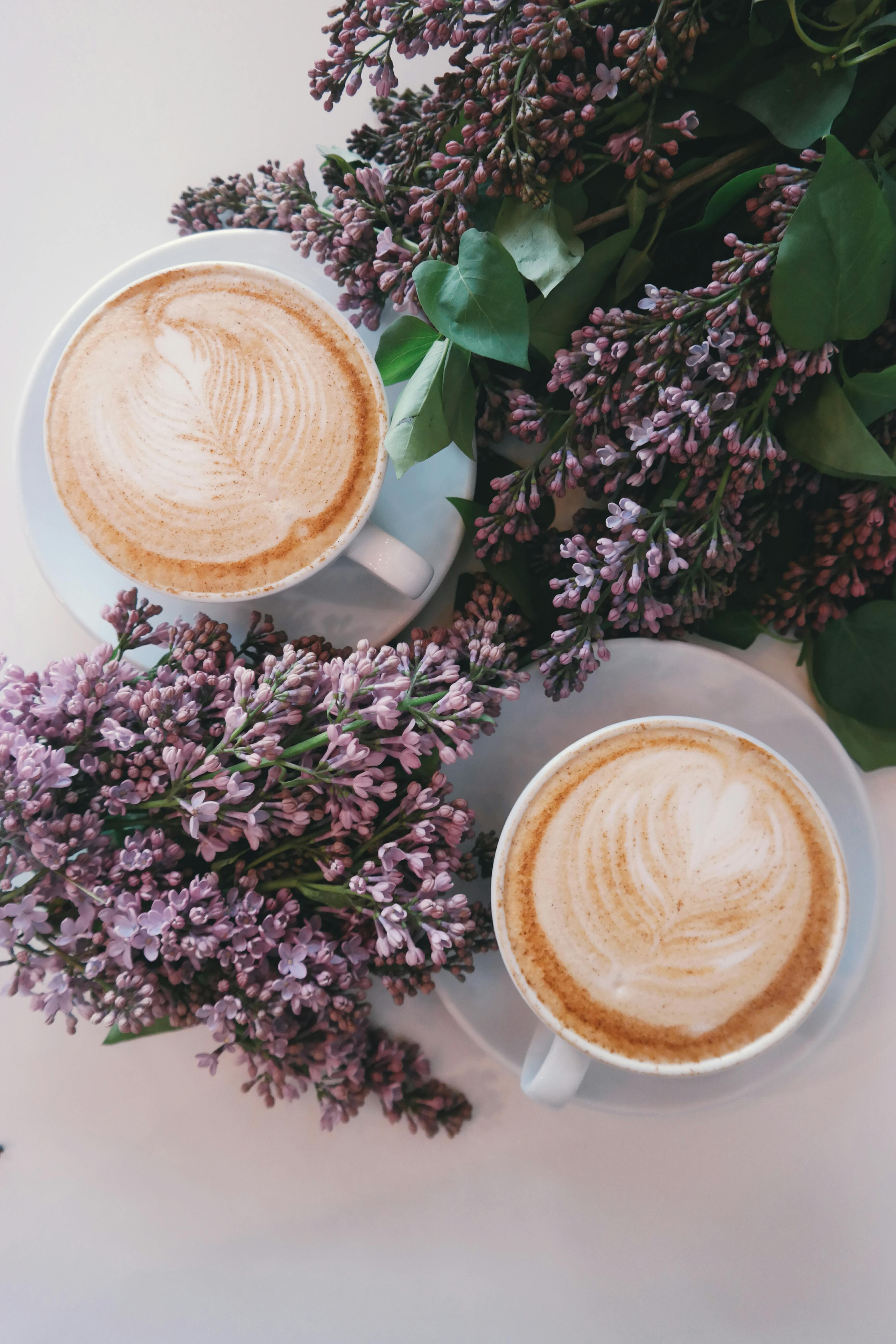 cafés