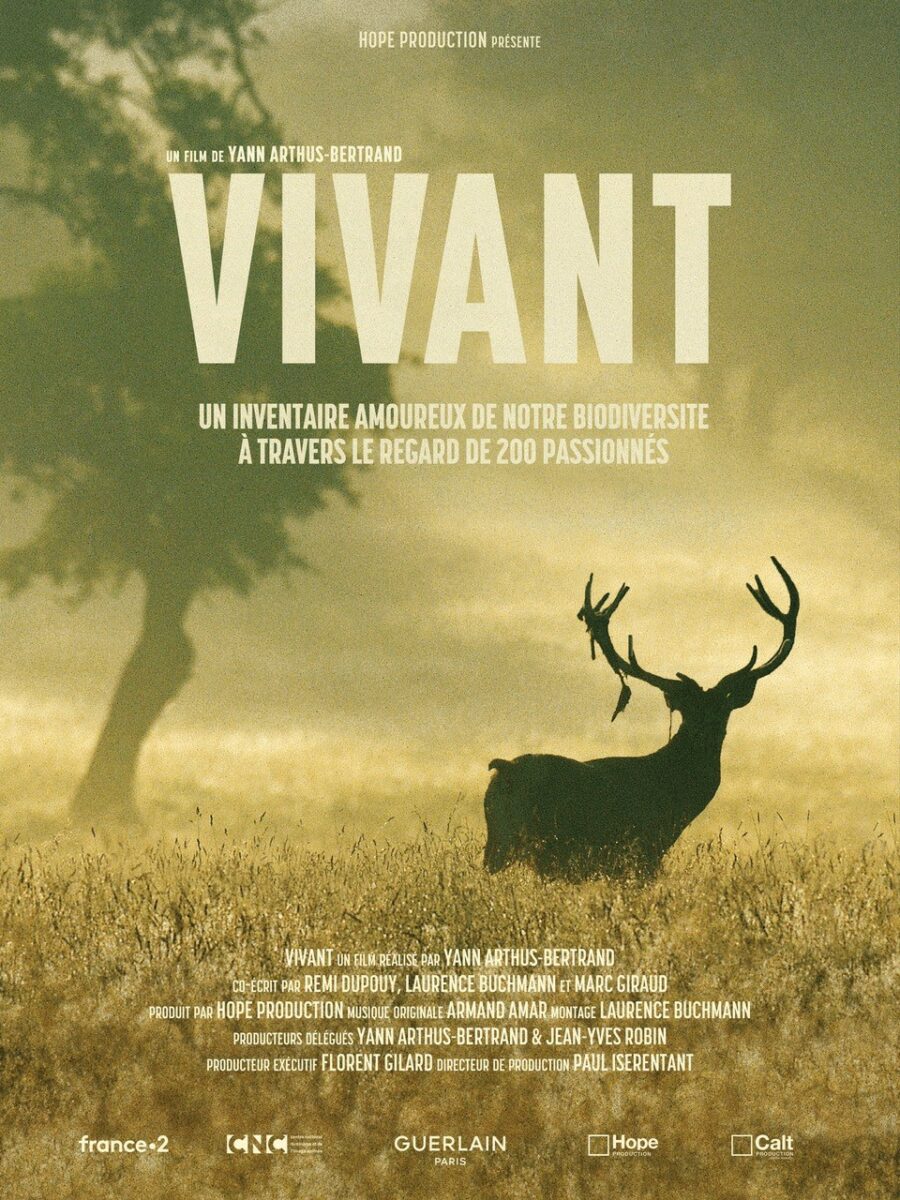 film vivant