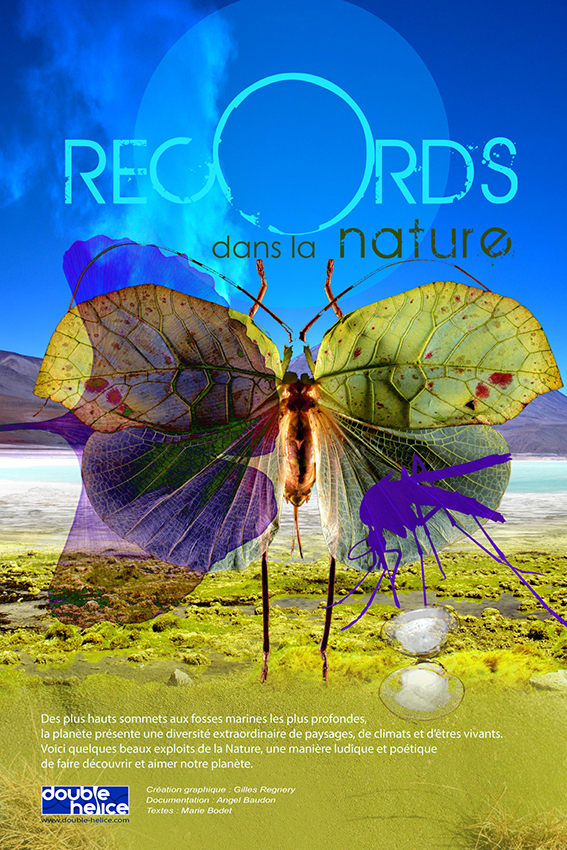 Records de la nature